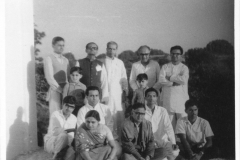 GNG-29